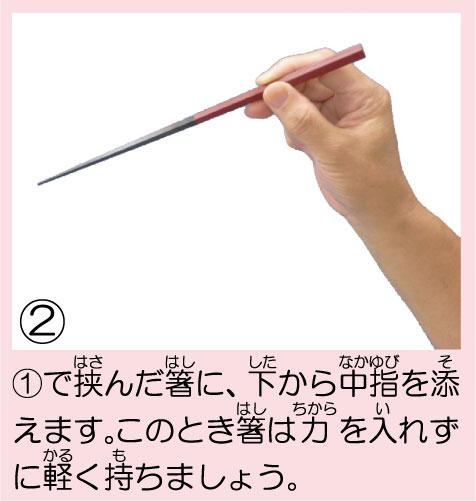お箸の持ち方