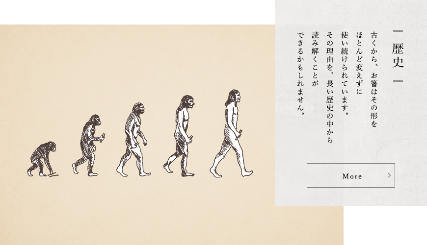 歴史：古くから、お箸はその形をほとんど変えずに使い続けられています。その理由を、長い歴史の中から読み解くことができるかもしれません。