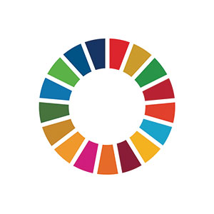 Sdg Wheel